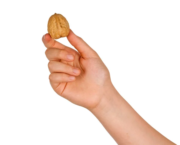 Hand with walnut — Stock Photo, Image