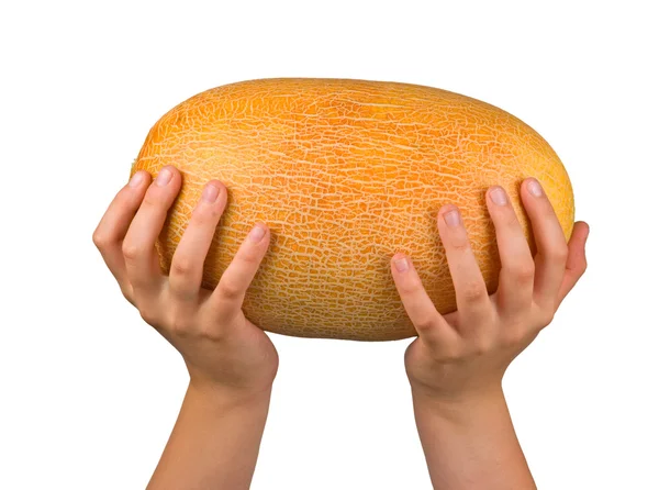 Melony w ręce na białym tle — Zdjęcie stockowe