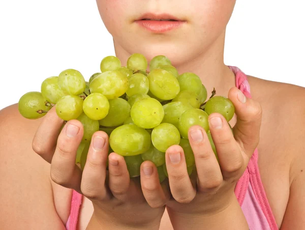 Winorośl jako dar rolnictwa — Zdjęcie stockowe