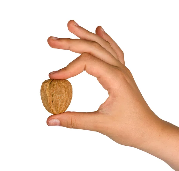 Рука с грецким орехом — стоковое фото