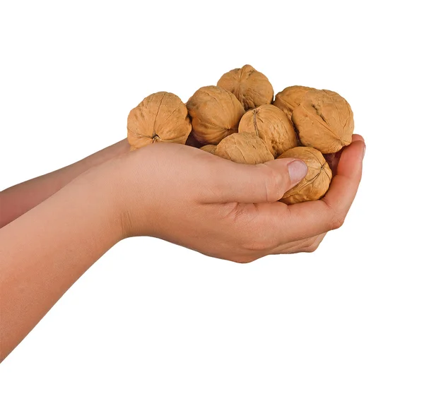 Руки с грецкими орехами — стоковое фото
