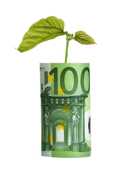 Träd växer från euro bill — Stockfoto