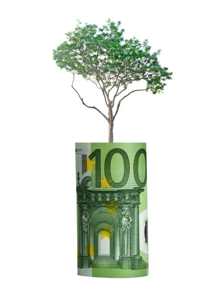 Strom roste od euro účet — Stock fotografie