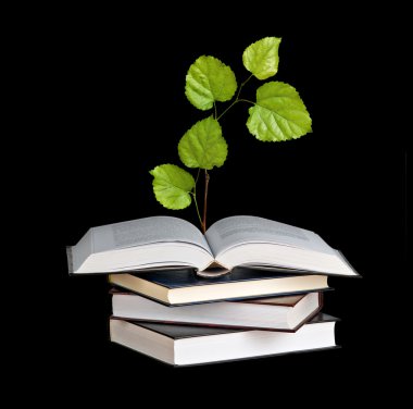 açık bir kitap büyüyen ağaç fidan