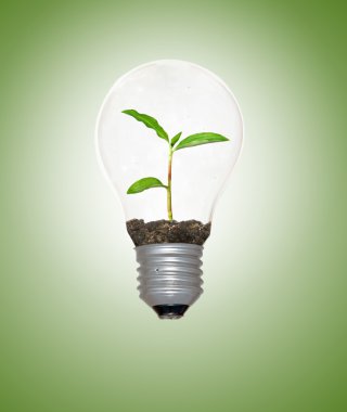 Incandescent light bulb with a tree shoot as the filament clipart