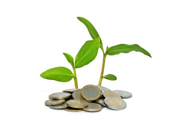 Plant growing from pile of coins clipart
