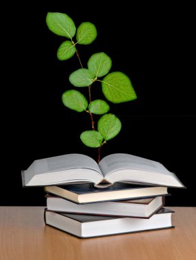 Plant growing from open book clipart