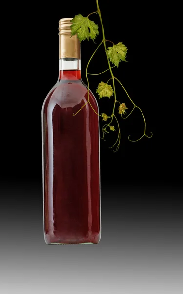 Fles rode wijn met wijnstokken — Stockfoto