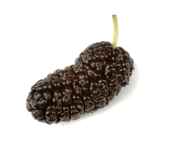 Mulberriy preto isolado no fundo branco — Fotografia de Stock