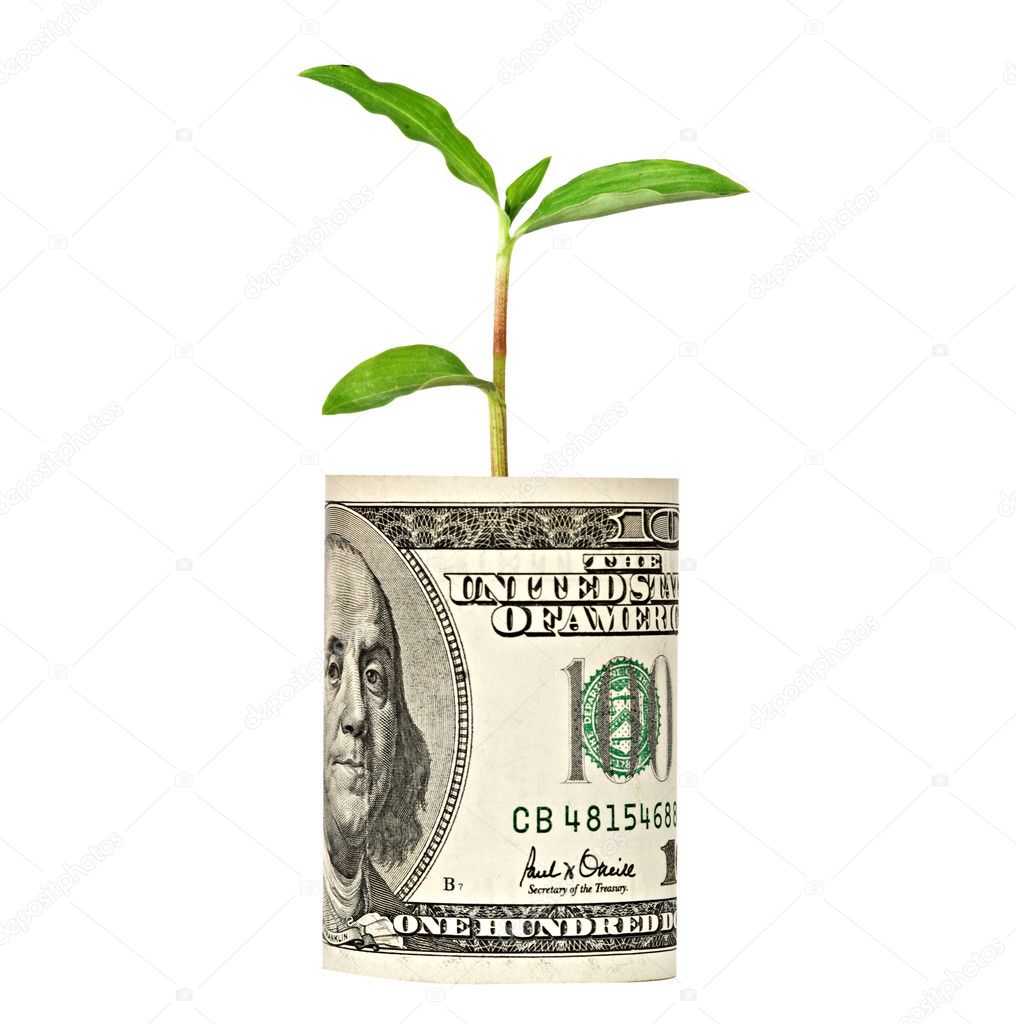 Tree shoot growing from dollar bill