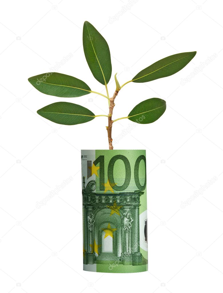 Tree growing from euro bill