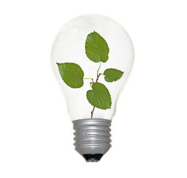 Incandescent light bulb with a tree shoot as the filament clipart