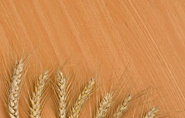 Пшеница на столе — стоковое фото