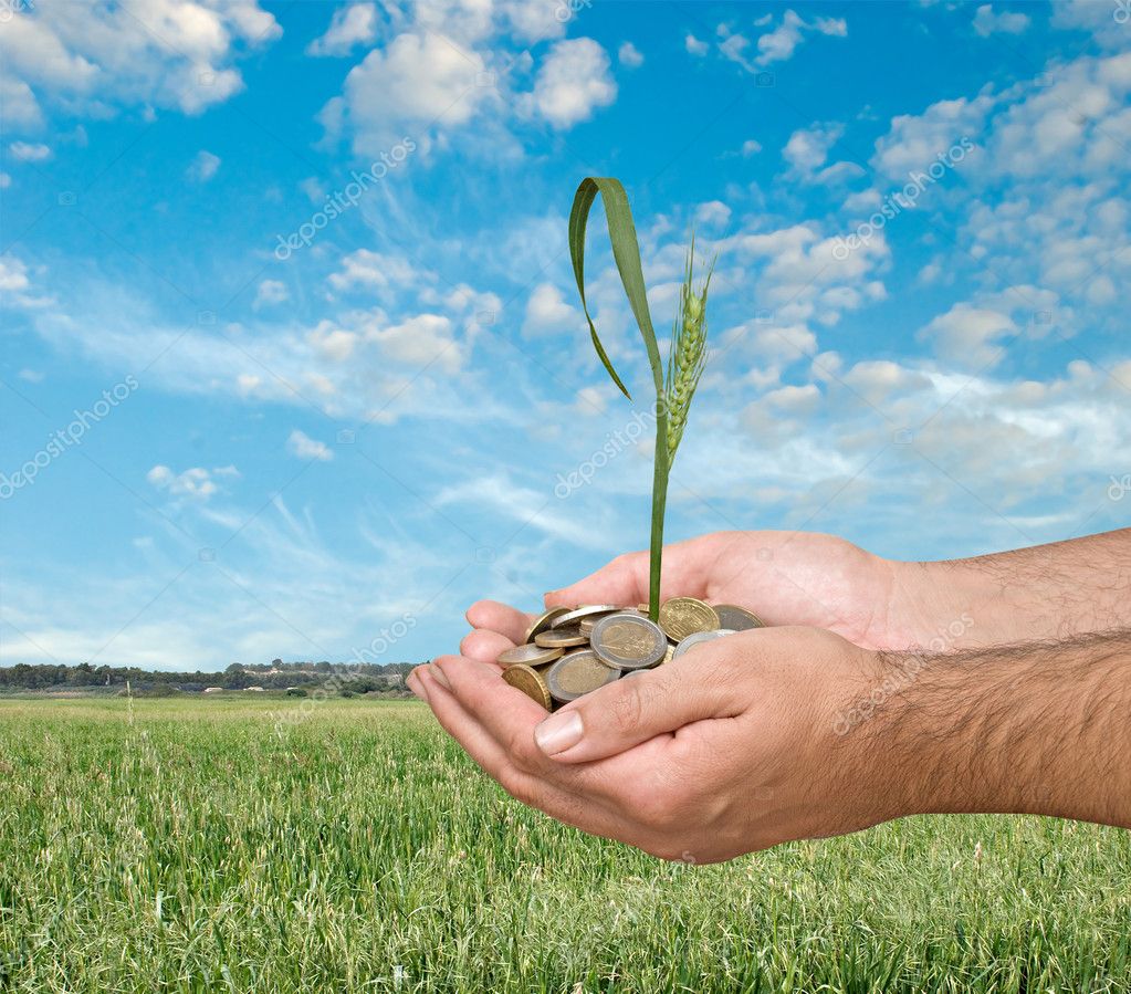 Wheat as a gift of agriculture — Stock Photo © vaeenma 3486711