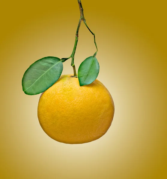 Грейпфрут изолирован на желтом фоне — стоковое фото