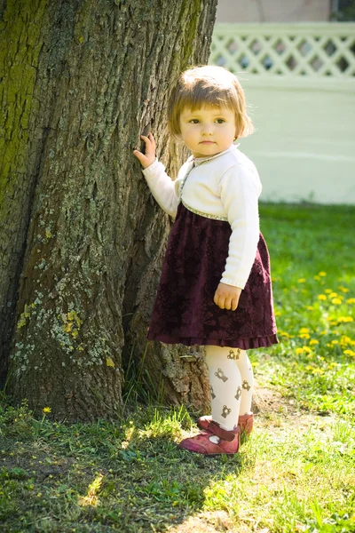 木の近くの美しい少女 — ストック写真