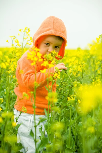 stock image Child sniffs flowers