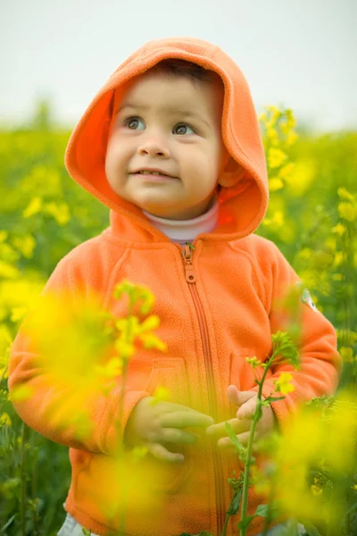 Hermoso niño en el campo de canola —  Fotos de Stock