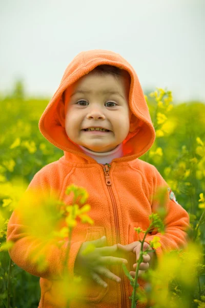 Krásné dítě v poli řepky — Stock fotografie