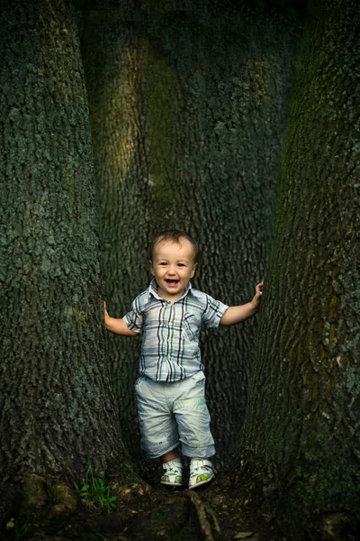Vtipný chlapec pod stromy — Stock fotografie