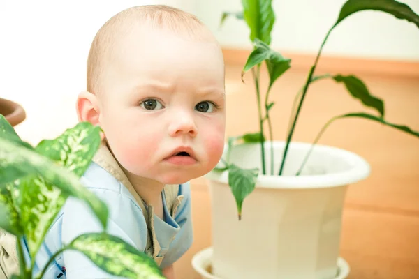 Retrato de bebé en flores — Foto de Stock