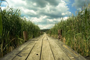 Wooden bridge clipart