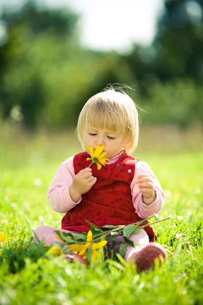 Küçük kız bir çiçek kokluyor. — Stok fotoğraf