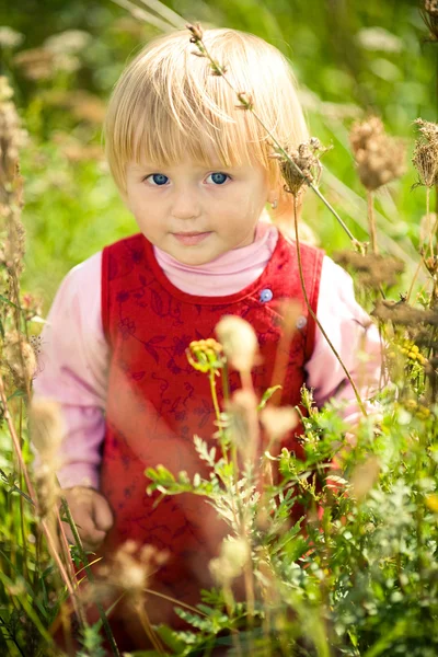 Klein meisje in gras — Stockfoto