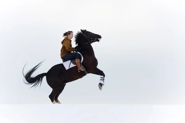 At süren kız. — Stok fotoğraf