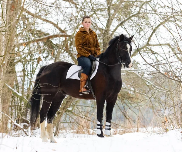 At süren kız. — Stok fotoğraf