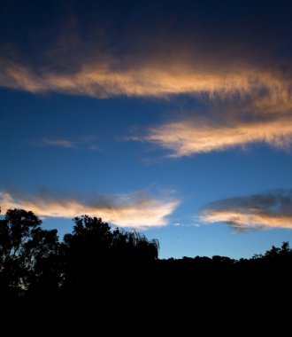 Sunset ağaçlar ile