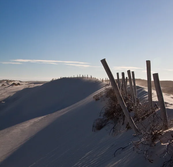 Wooden poles on a dune — Stock Photo, Image