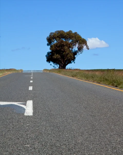 Road over farm lands with tree — Stock Photo, Image