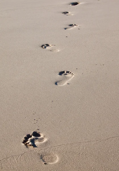 Empreintes de pas sur une plage — Photo