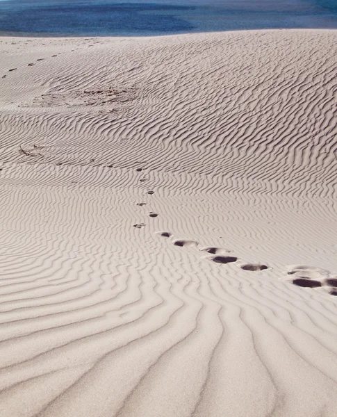 Footprints in a sand dune — Stock Photo, Image