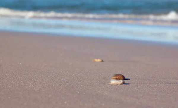Cailloux sur une plage — Photo