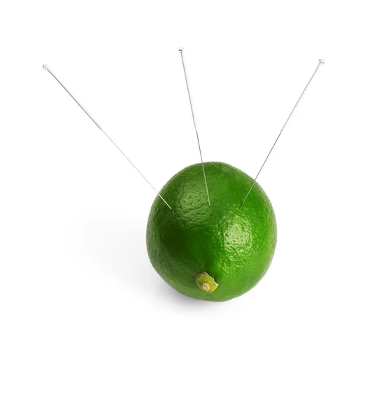 stock image Lime and needle