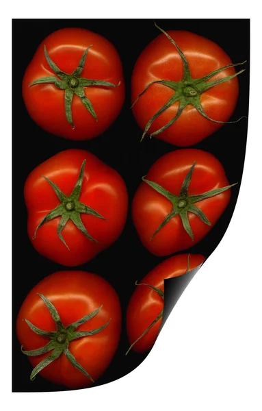 Tomatoes curl distortion — Stock Photo, Image
