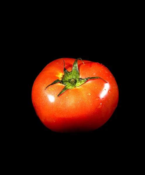Tomate auf schwarz — Stockfoto