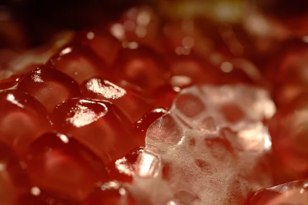 Stock image Pomegranate fruit