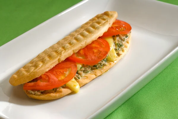 Tuna tomato and cheese grilled panini sandwich — Stock Photo, Image