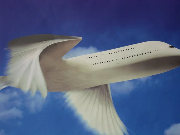 Mucha skrzydła samolotu — Zdjęcie stockowe