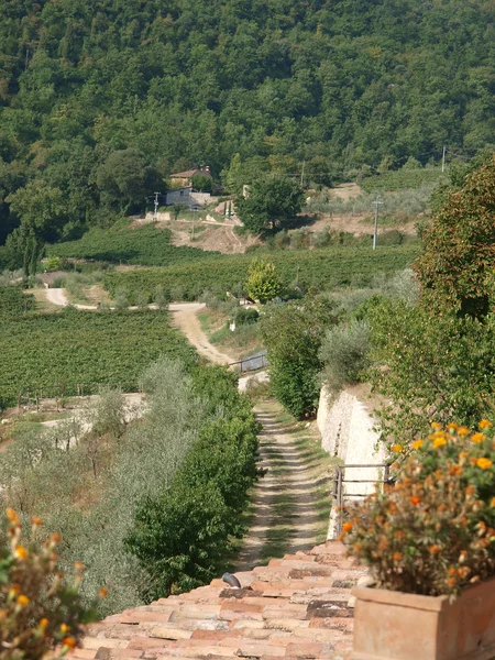 stock image Tuscan landscape