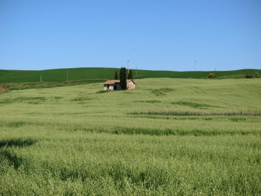 val d orcia peyzaj