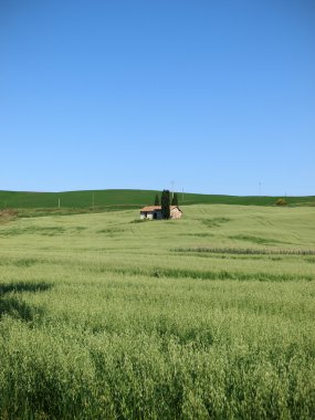 val d orcia peyzaj