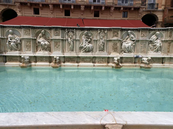 stock image Siena - the Fonte Gaia