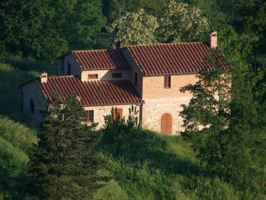 Villa in Tuscany amongst olive groves clipart