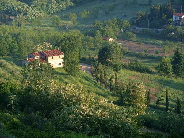 Toskana 'da, zeytinliklerin arasında bir villa. — Stok fotoğraf