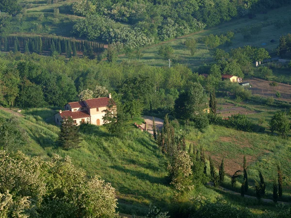Willa w Toskanii wśród gajów oliwnych — Zdjęcie stockowe