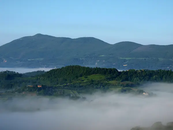 stock image Fabulous landscape of the foggy morning in Tuscany.